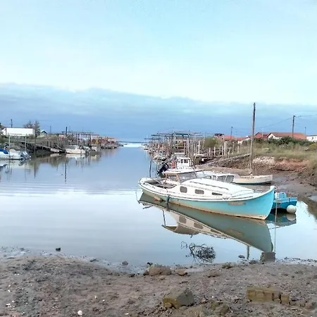 Charmante Sur Le Bassin D'arcachon * גוז'אן-מסטרה