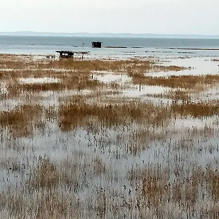 Vendégház Charmante Sur Le Bassin D'arcachon *