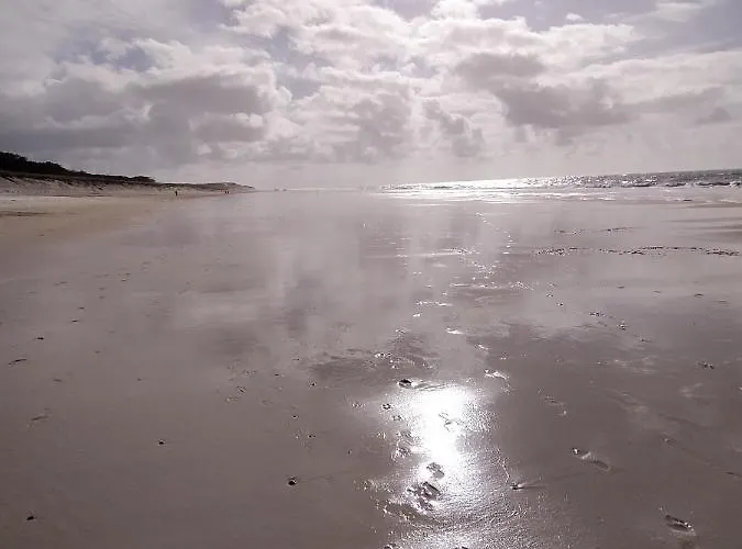 Charmante Sur Le Bassin D'arcachon